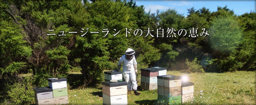 New Zealand Honey